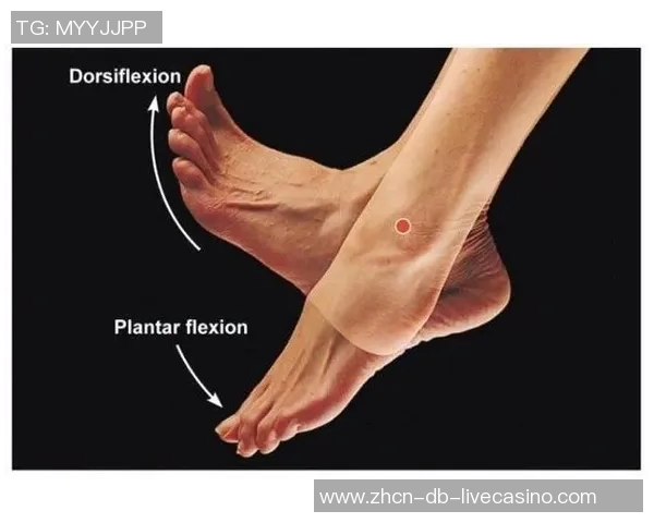 足球鞋在提升运动表现与保护脚踝方面的重要作用分析 足球鞋在提升运动表现与保护脚踝方面的重要作用分析